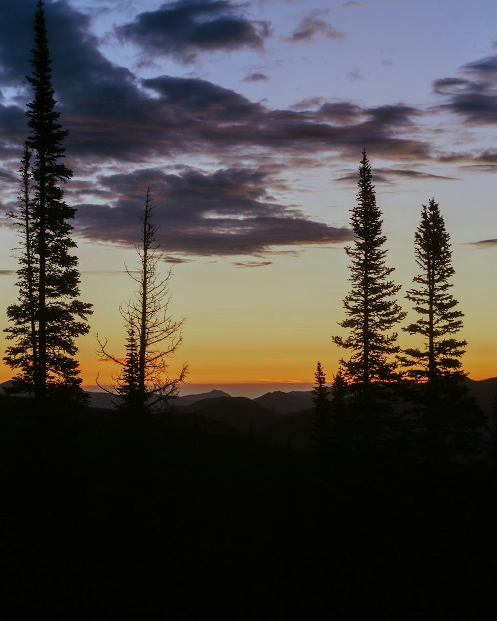 Mountain wilderness