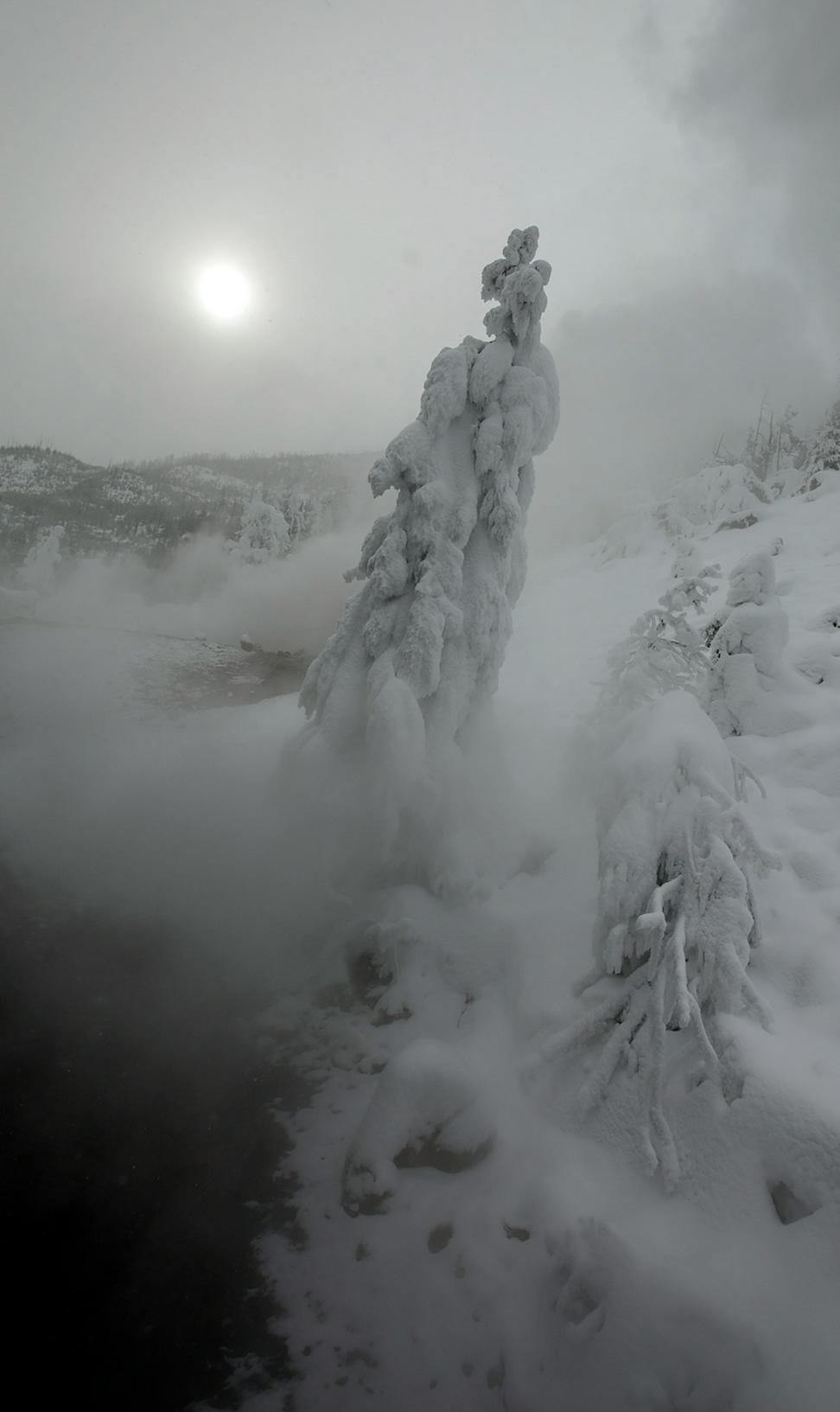 Cold Plunge