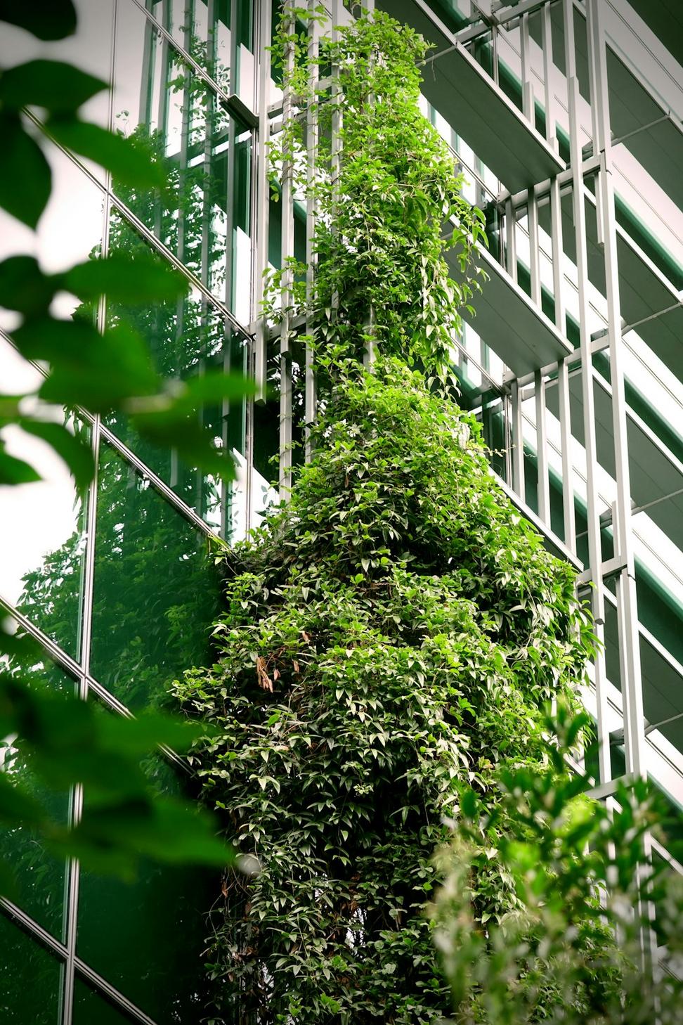 Sustainability